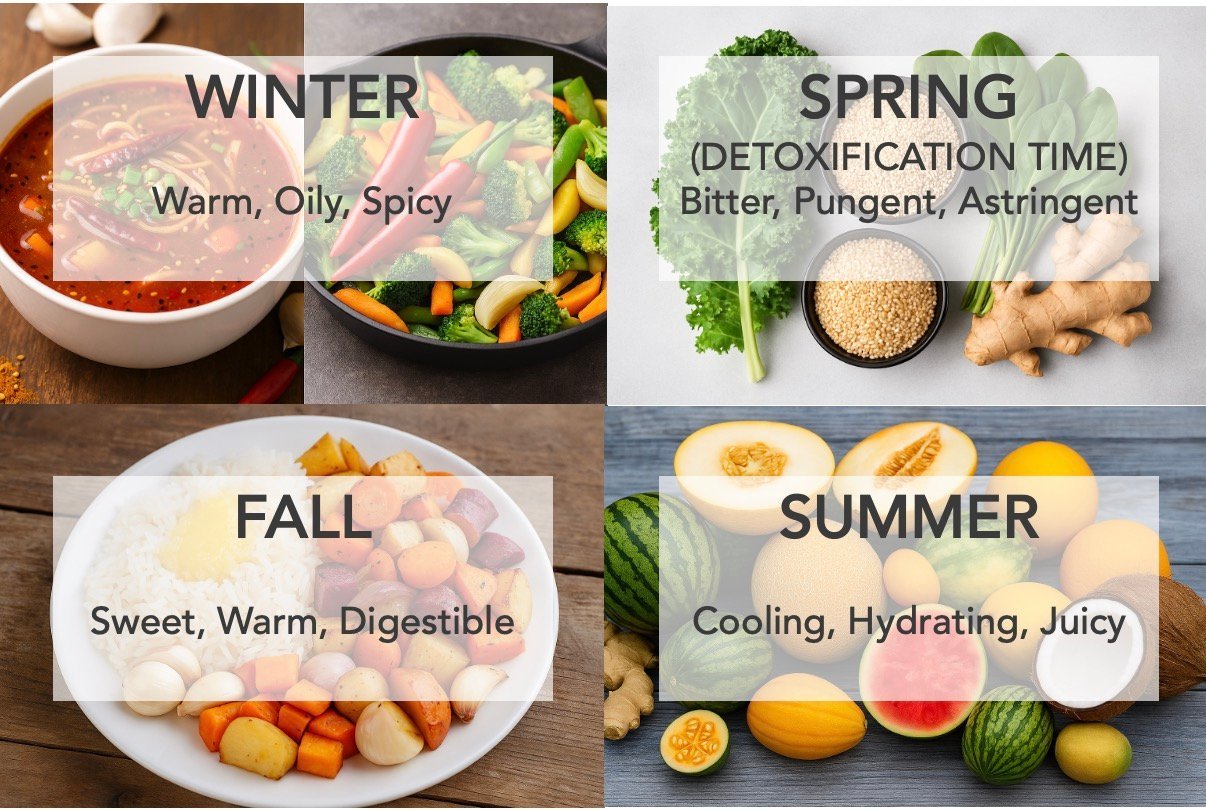 Ayurveda Woodlands, Holistic wellness, Natural healing, Ayurvedic services, Ayurveda consultation, Ayurvedic treatment, Wellness plans, Ayurveda The Woodlands